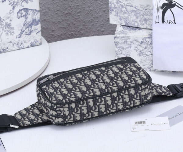 BOLSO WAISTBOLSOS DIOR