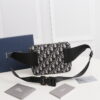 BOLSO WAISTBOLSOS DIOR