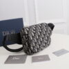 BOLSO WAISTBOLSOS DIOR