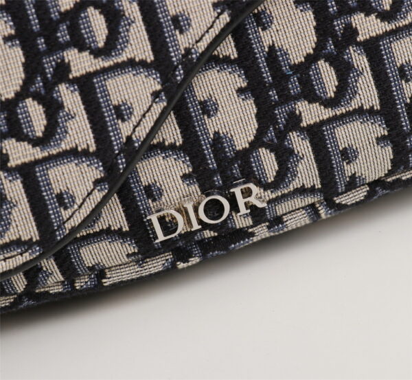 BOLSO WAISTBOLSOS DIOR