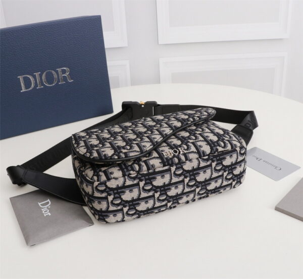 BOLSO WAISTBOLSOS DIOR