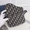 BOLSO WAISTBOLSOS DIOR