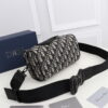 BOLSO WAISTBOLSOS DIOR