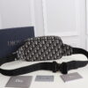 BOLSO WAISTBOLSOS DIOR