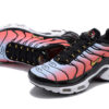 AIR MAX PLUS TN ‘SISTERHOOD’