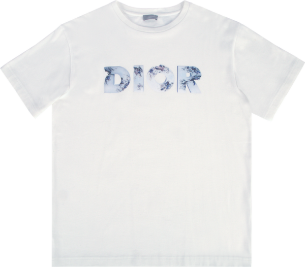 Dior Arsham Logo T-shirt ‘white’