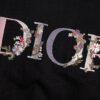 HOODIE DIOR