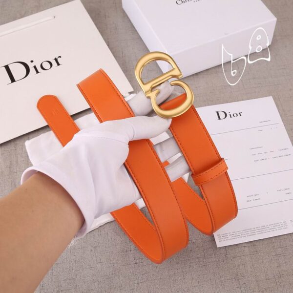 CINTURÓN DIOR