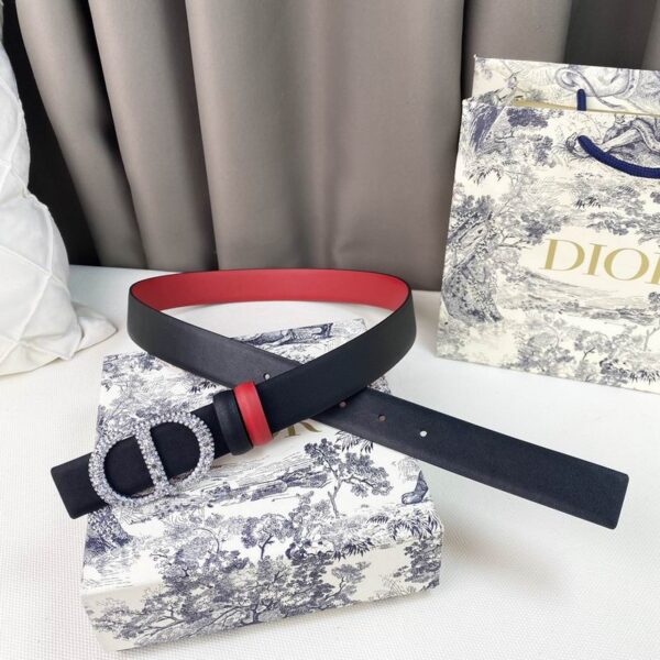 CINTURÓN DIOR
