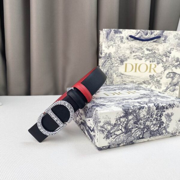 CINTURÓN DIOR