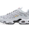 AIR MAX PLUS TN ‘FRANCE’