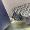 BOLSO WAISTBOLSOS DIOR