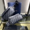 BOLSO WAISTBOLSOS DIOR