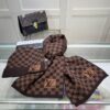 WINTER SET LOUIS VUITTON