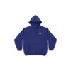 Political Campaign Hoodie Medium Fit