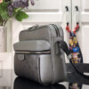BOLSO LOUIS VUITTON