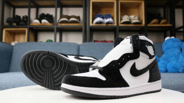 Air Jordan 1 High Twist