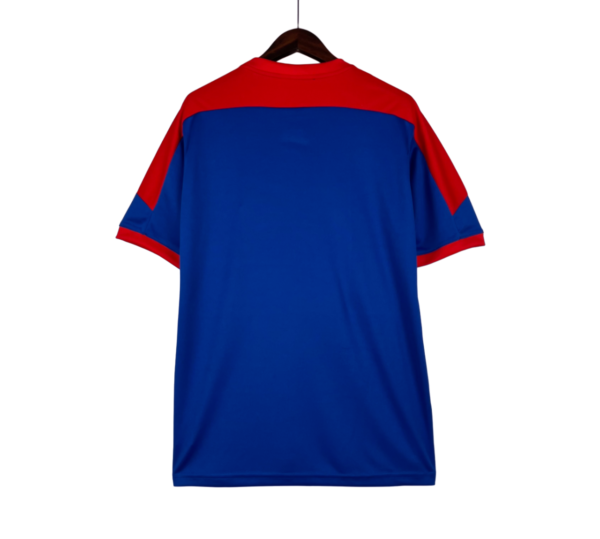 Edición Especial camiseta Japón