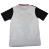 Edición Especial camiseta Japón Samurai