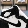Air Jordan 1 High Twist