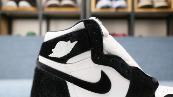 Air Jordan 1 High Twist
