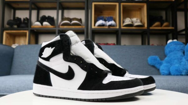 Air Jordan 1 High Twist