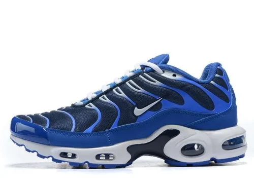 AIR MAX PLUS TN ‘ARTIC CHILL’