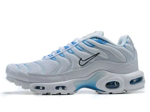 AIR MAX PLUS TN ‘BLUE FURY’