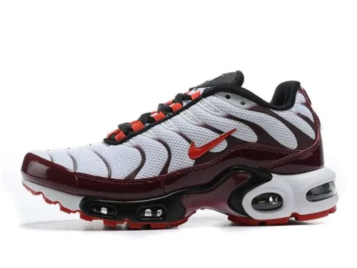 AIR MAX PLUS TN ‘BORDEAUX EMBER’