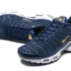 AIR MAX PLUS TN ‘FRENCH FOOTBALL FEDERATION’