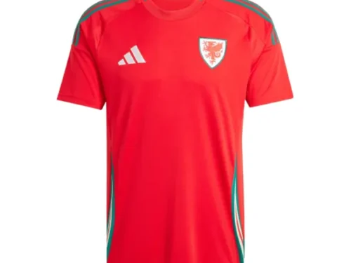 Camiseta Gales Eurocopa 2024 1ª equipación