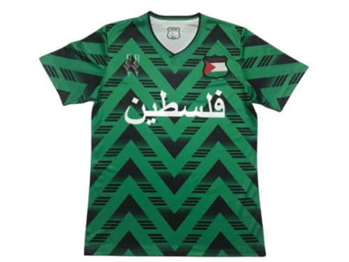 Camiseta Palestina Concepto