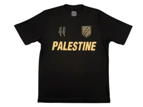 Camiseta Palestina Concepto