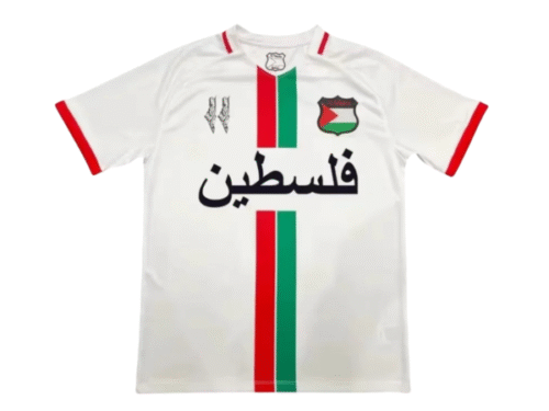 Camiseta Palestina Concepto