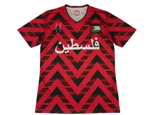 Camiseta Palestina Concepto