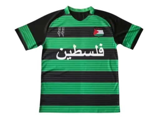 Camiseta Palestina Concepto