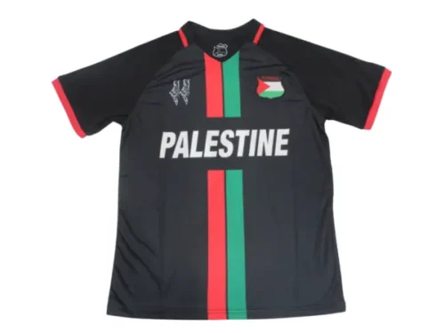 Camiseta Palestina Concepto