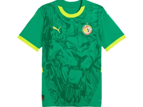 Camiseta Senegal 24/25 2ª equipación