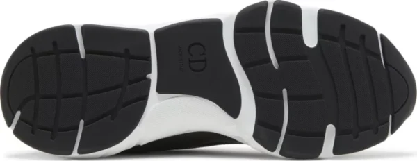 DIOR B22 ‘BLUE SILVER’