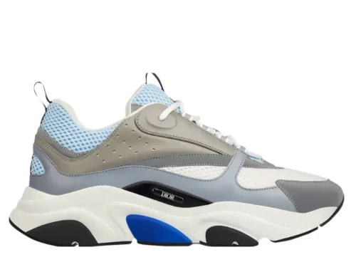 DIOR B22 ‘WHITE BLUE’