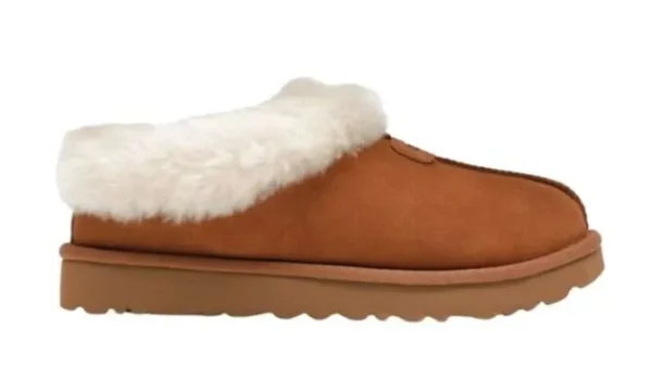 Tazzette Slipper Castagna (W)